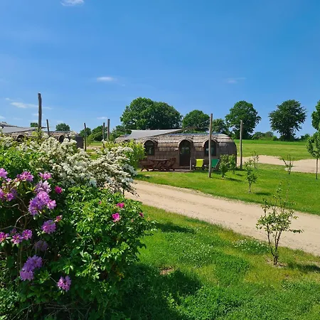 Appartamento Tiny Igloo Johansson